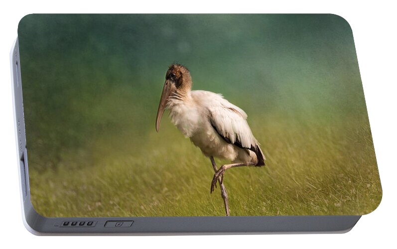 Wood Stork Portable Battery Charger featuring the photograph Wood Stork - Balancing by Kim Hojnacki