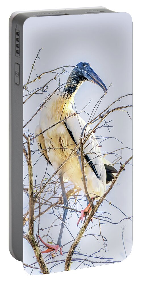 Florida Portable Battery Charger featuring the photograph Wood Stork sitting in a tree by Framing Places
