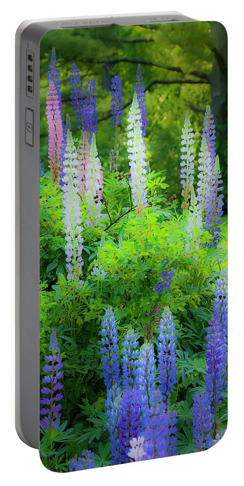 Lupines Portable Battery Charger featuring the photograph Woodland Fantasy by Jeff Cooper