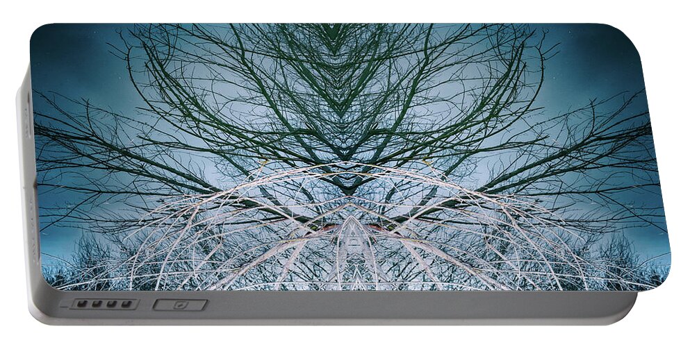 Nature Art Portable Battery Charger featuring the photograph Woodland Ghostdancer by John Williams