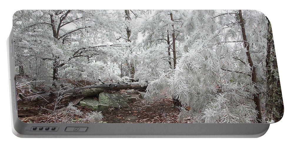 Frost Portable Battery Charger featuring the photograph Woodland Wonder by Mike Eingle
