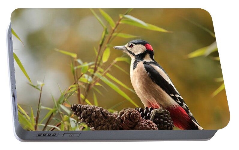 Woodpecker Portable Battery Charger featuring the photograph Woodpecker 3 by Heike Hultsch
