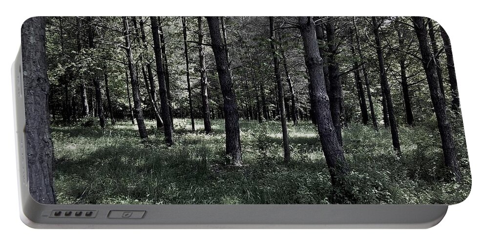 Woods Portable Battery Charger featuring the photograph Woods Walk by Danielle R T Haney