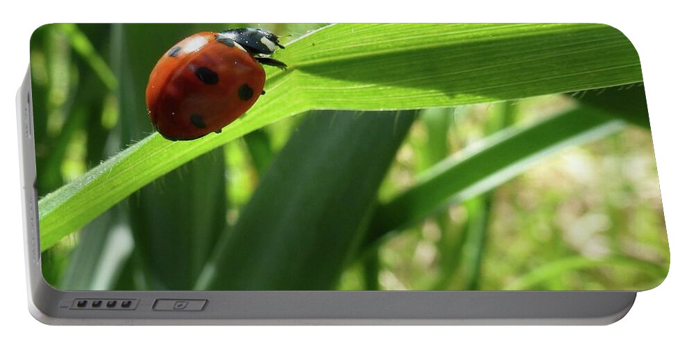 Abloom Portable Battery Charger featuring the photograph World of Ladybug 2 by Jean Bernard Roussilhe