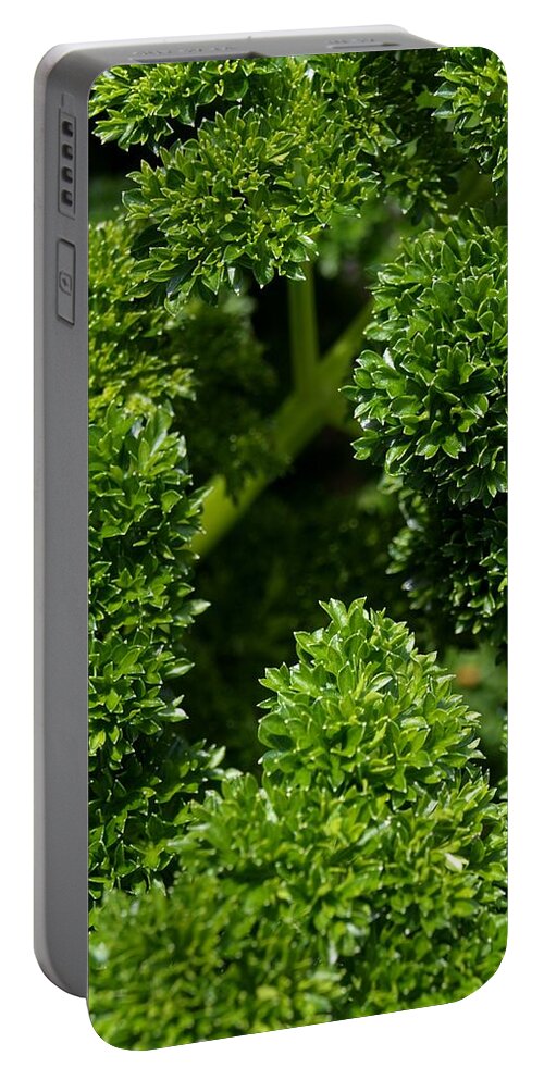 Parsley Portable Battery Charger featuring the photograph World Of Parsley by Richard Brookes