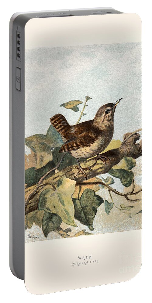 Birds Portable Battery Charger featuring the digital art Wren Restored by Pablo Avanzini