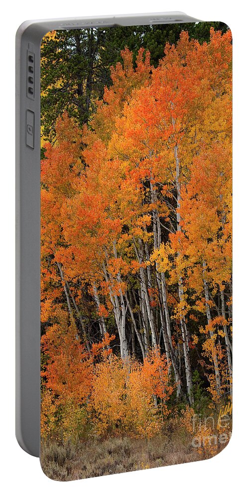 Fall Aspens Portable Battery Charger featuring the photograph Wyoming Splendor by Bon and Jim Fillpot