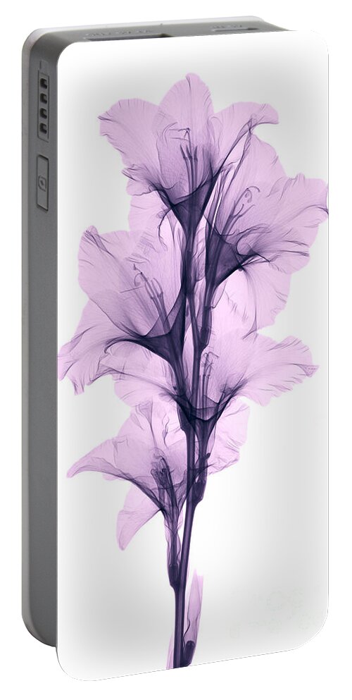 Xray Portable Battery Charger featuring the photograph X-ray Of A Gladiola Flower by Ted Kinsman