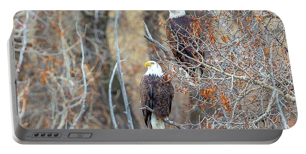 Eagle Portable Battery Charger featuring the photograph Yampa Couple by Kevin Dietrich