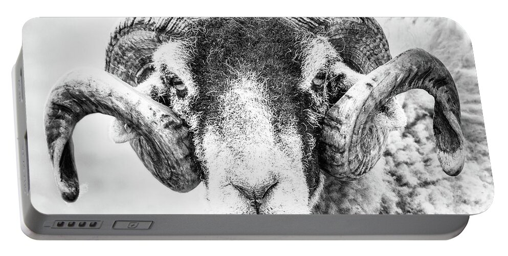 Swaledale Portable Battery Charger featuring the photograph Swaledale Tup by Richard Burdon