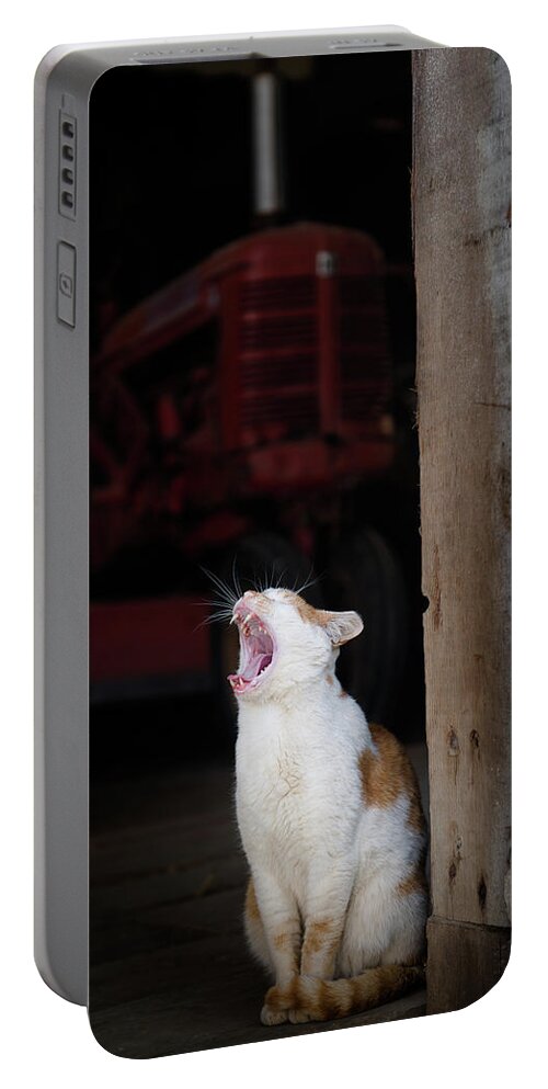 Animals Portable Battery Charger featuring the photograph Yawning Barn Cat and Tractor by Dennis Dame