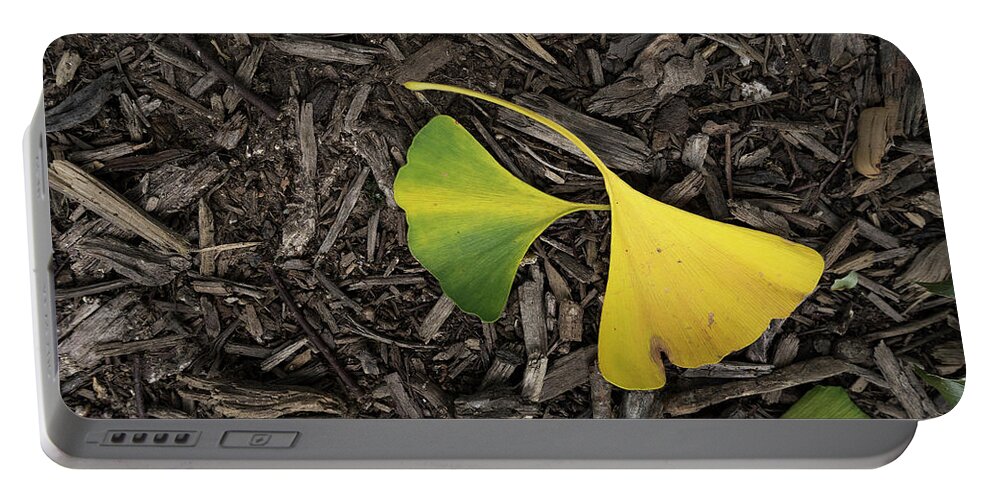 Ginkgo Leaves Divided Portable Battery Charger featuring the photograph Yellow and Green Gingko by Sharon Popek