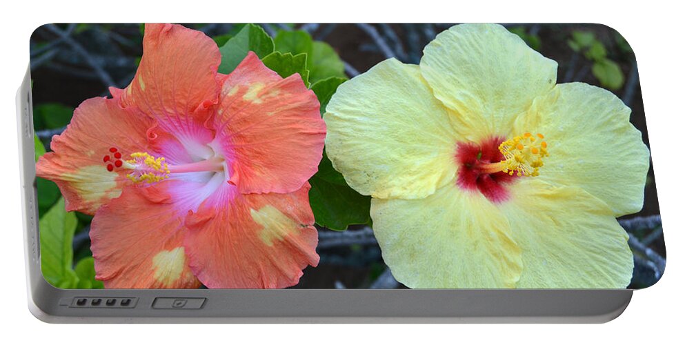 Flower Portable Battery Charger featuring the photograph Yellow and Orange Hibiscus Flowers by Amy Fose