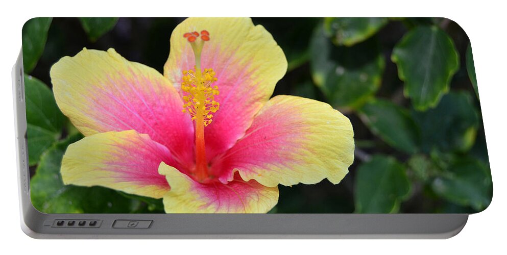 Flower Portable Battery Charger featuring the photograph Yellow and Pink Hibiscus 1 by Amy Fose