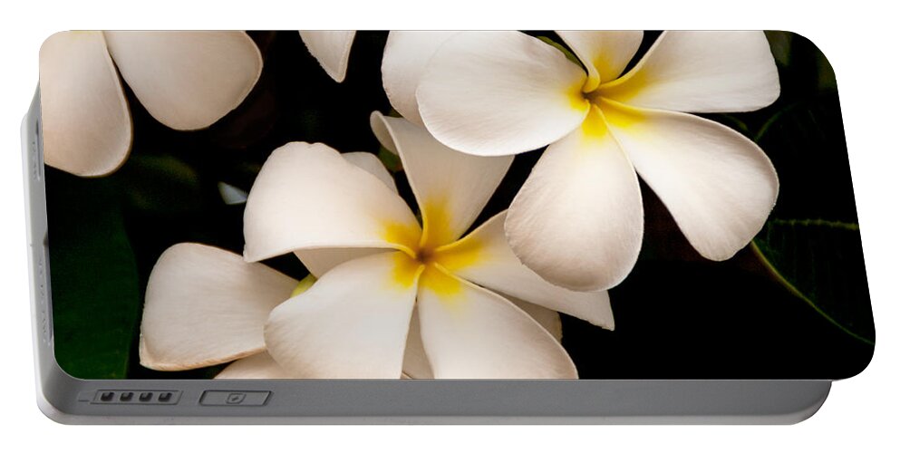 Yellow And White Plumeria Flower Frangipani Portable Battery Charger featuring the photograph Yellow and White Plumeria by Brian Harig