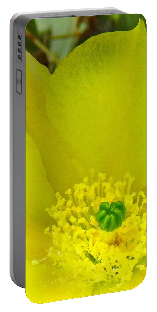  Arizona Portable Battery Charger featuring the photograph Yellow Bloom 1 - Prickly Pear Cactus by Judy Kennedy