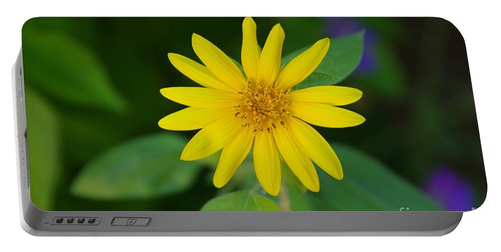 Flower Portable Battery Charger featuring the photograph Yellow button by Jeff Swan
