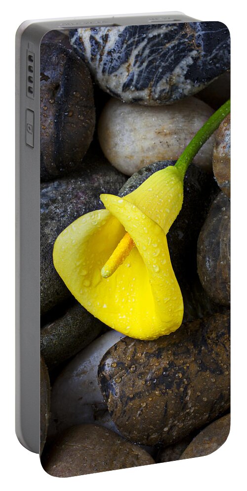 Yellow Portable Battery Charger featuring the photograph Yellow Calla Lily On Rocks by Garry Gay