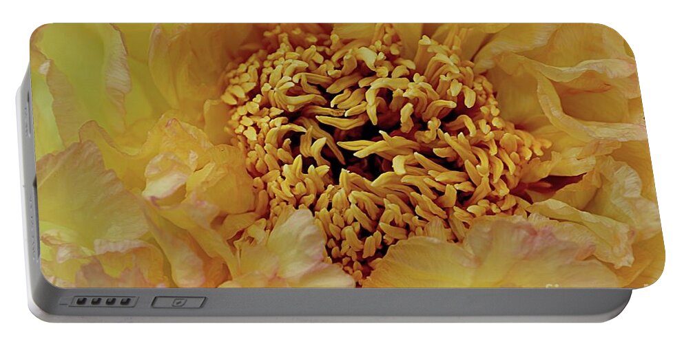 Flowers Portable Battery Charger featuring the photograph Yellow Center by Yumi Johnson