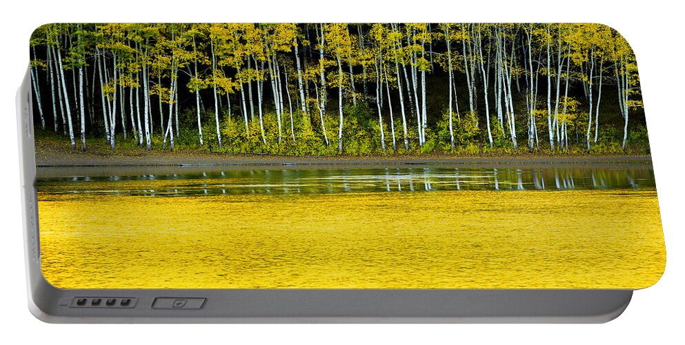 Nature Portable Battery Charger featuring the photograph Yellow by Chad Dutson