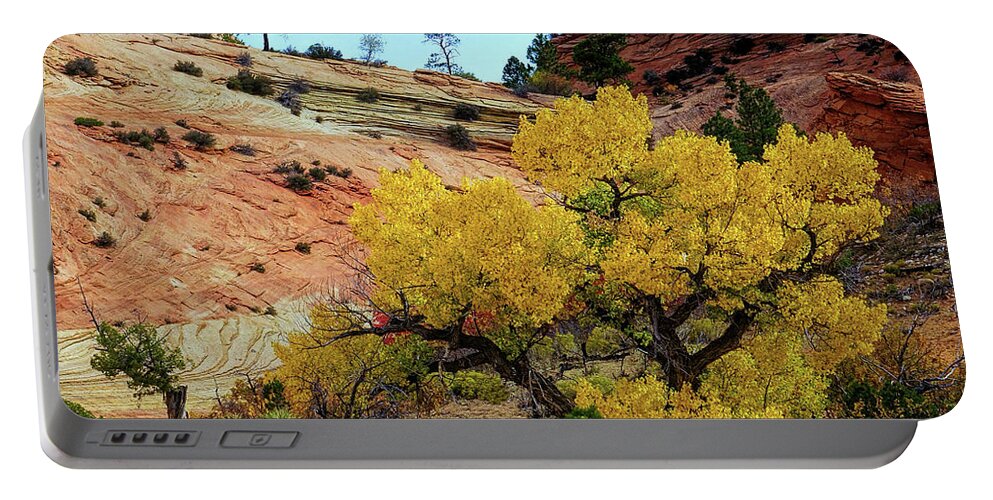Autumn Portable Battery Charger featuring the photograph Yellow Cotton in Zion Park by Roxie Crouch