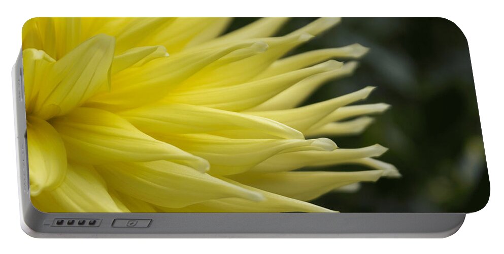 Florals Portable Battery Charger featuring the photograph Yellow Dahlia Petals by Arlene Carmel