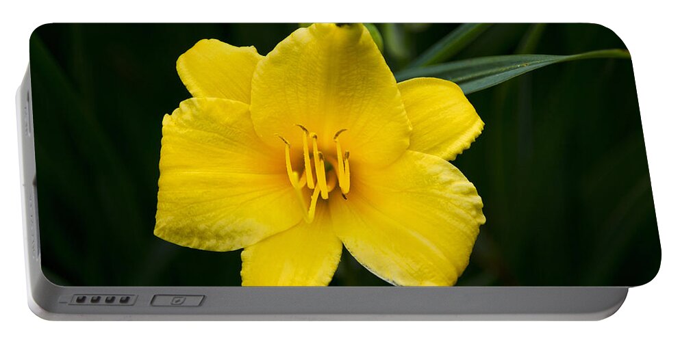 Daylily Portable Battery Charger featuring the photograph Yellow Daylily Flower by Christina Rollo