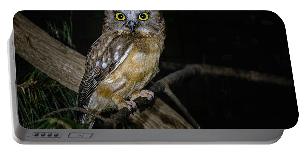 Owl Portable Battery Charger featuring the photograph Yellow Eyes in the Dark by Peg Runyan