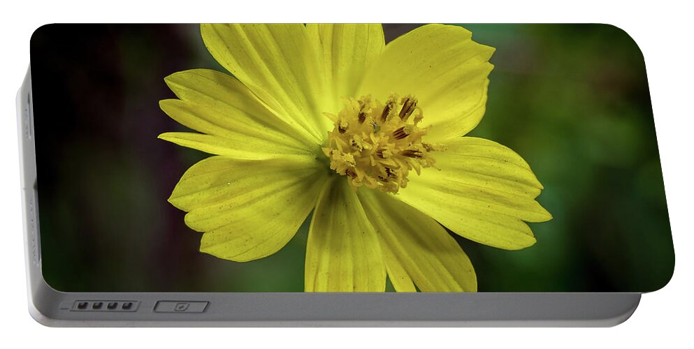Background Portable Battery Charger featuring the photograph Yellow Flower by Ed Clark