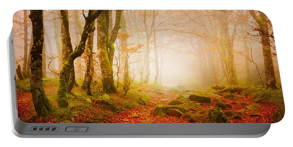 Forest Portable Battery Charger featuring the photograph Yellow Forest Mist by Philippe Sainte-Laudy