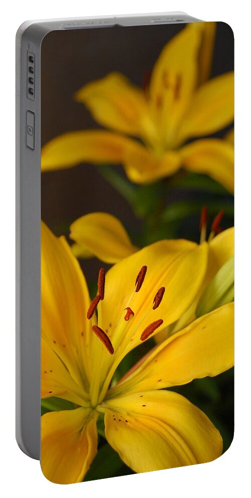 Flower Portable Battery Charger featuring the photograph Yellow Lily Mirror by Amy Fose