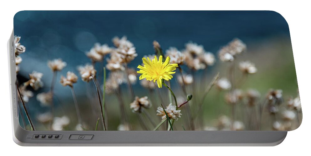 Yellow Flower Portable Battery Charger featuring the photograph Yellow by Martina Fagan