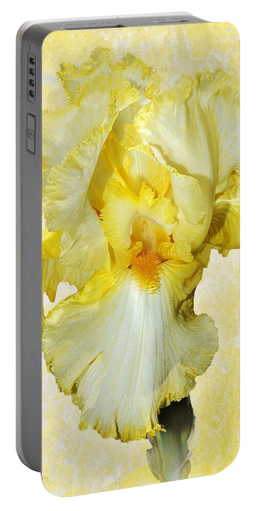 Iris Flower Portable Battery Charger featuring the photograph Yellow Mist Iris by Phyllis Denton