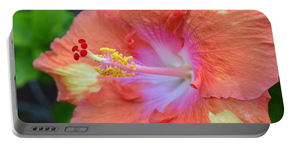 Flower Portable Battery Charger featuring the photograph Yellow Orange Hibiscus by Amy Fose