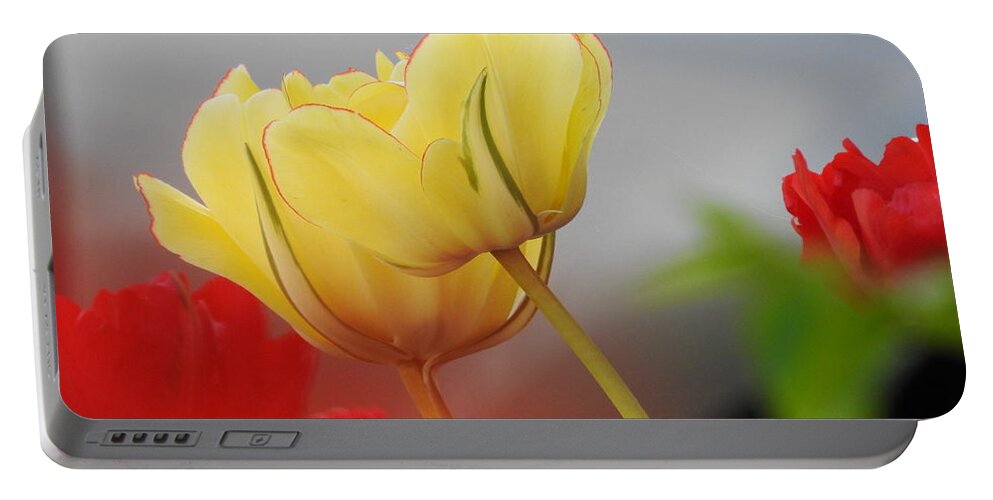 Tulips Portable Battery Charger featuring the photograph Yellow Pair by Betty-Anne McDonald