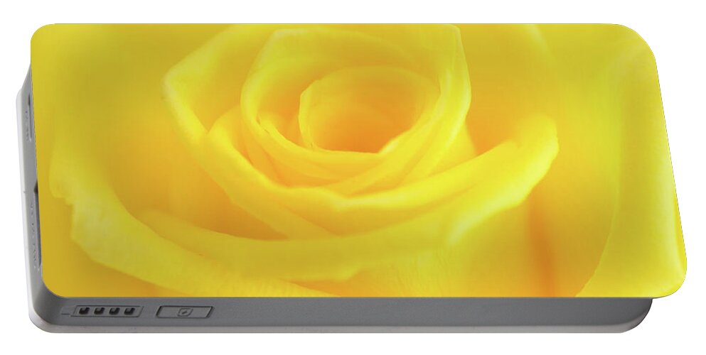 Yellow Rose Portable Battery Charger featuring the photograph Yellow Rose by Andy Myatt