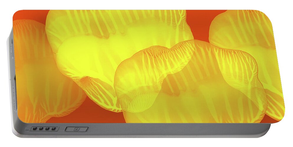 Abstract Portable Battery Charger featuring the painting Yellow Rose Petals Falling in the Garden at Sunset by Amy Vangsgard