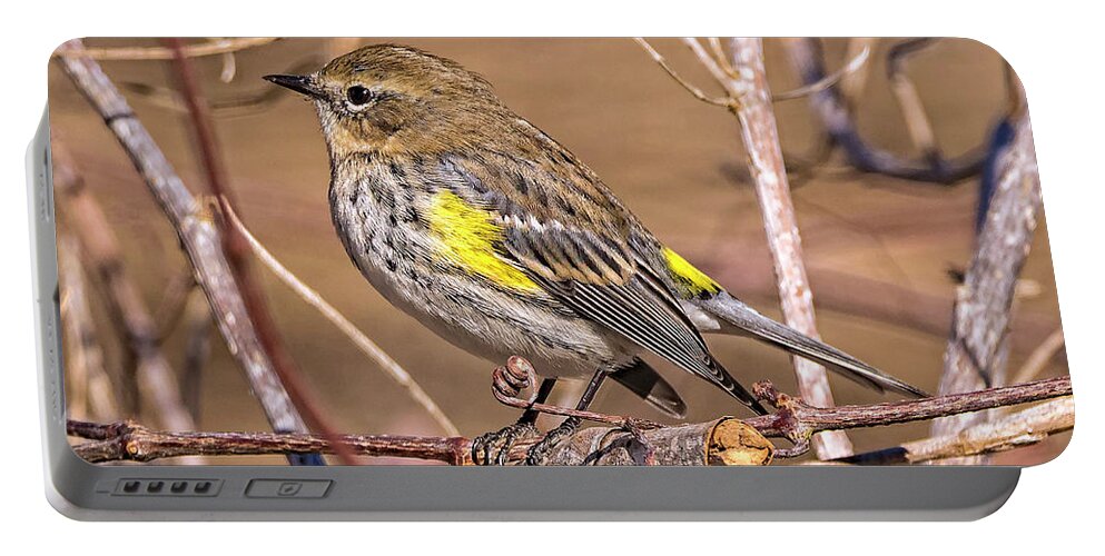 Nature Portable Battery Charger featuring the photograph Yellow-Rumped Warbler by DB Hayes