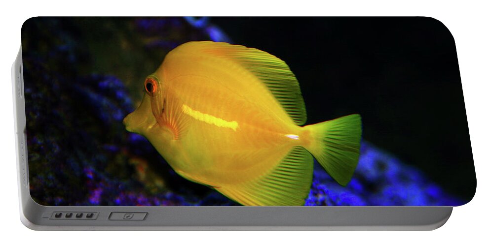 Yellow Tang Portable Battery Charger featuring the photograph Yellow Tang by Anthony Jones