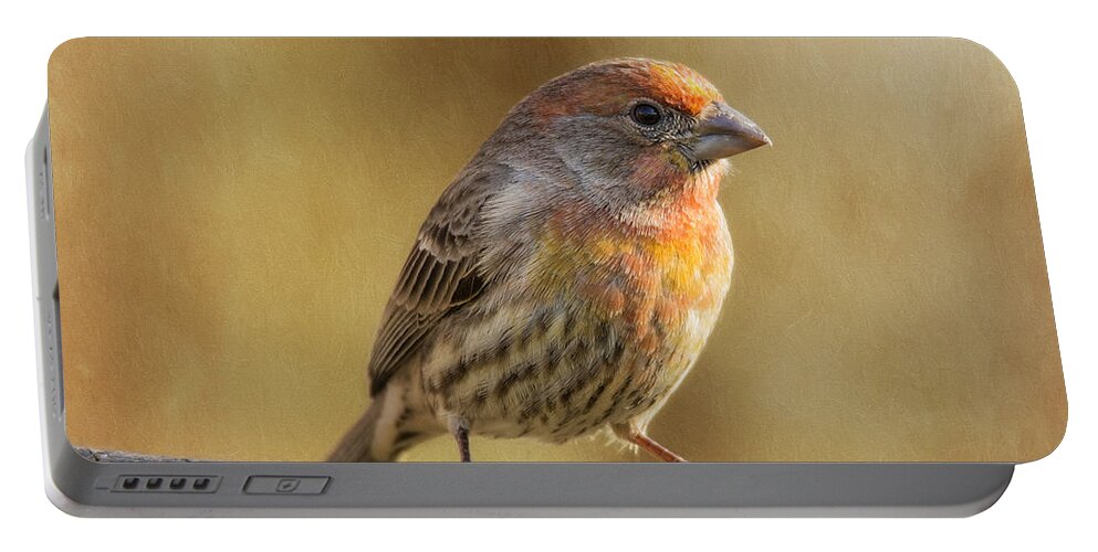 Chordata Portable Battery Charger featuring the photograph Yellow Variant House Finch by Bill and Linda Tiepelman