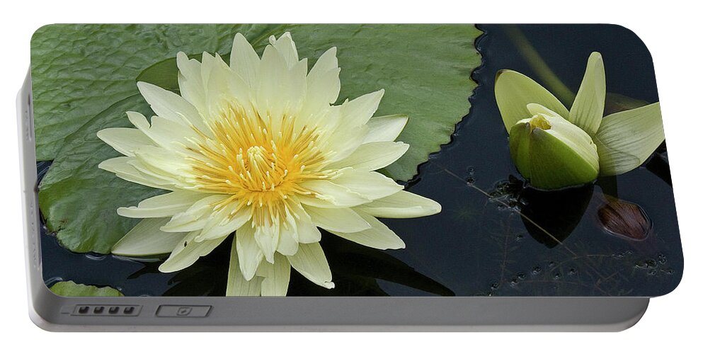 Water Llilies Portable Battery Charger featuring the photograph Yellow Water Lily with bud Nymphaea by Heiko Koehrer-Wagner