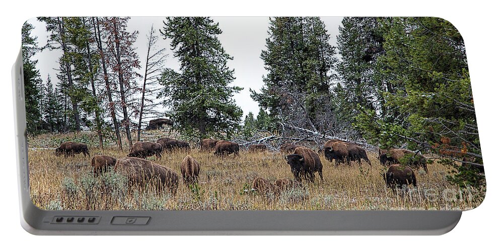 Yelowstone Portable Battery Charger featuring the photograph Yellowstone Buffalo by Jim Garrison
