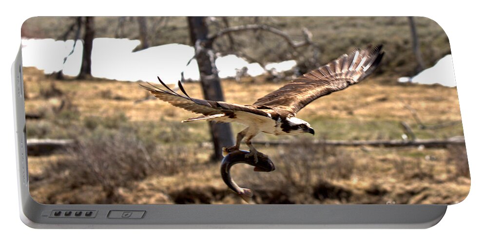 Osprey Portable Battery Charger featuring the photograph Yellowstone Osprey Feast by Adam Jewell