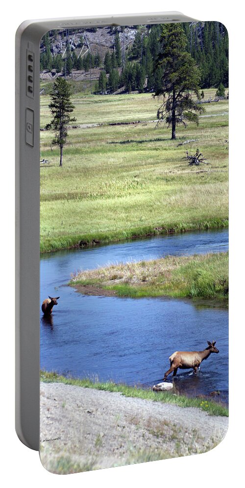 Yellowstone National Park Portable Battery Charger featuring the photograph Yellowstone Park Elk In August Vertical by Thomas Woolworth