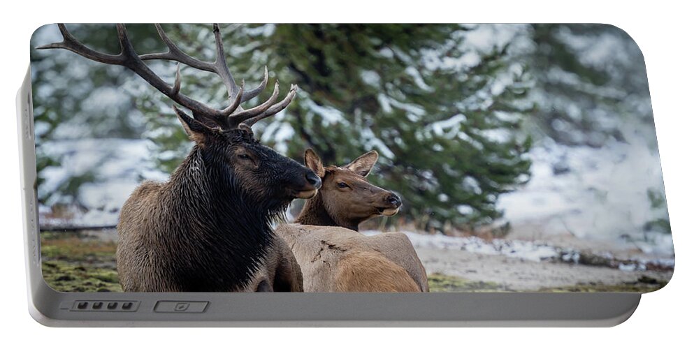 Scenic Portable Battery Charger featuring the photograph Yellowstone Wild by Gary Migues