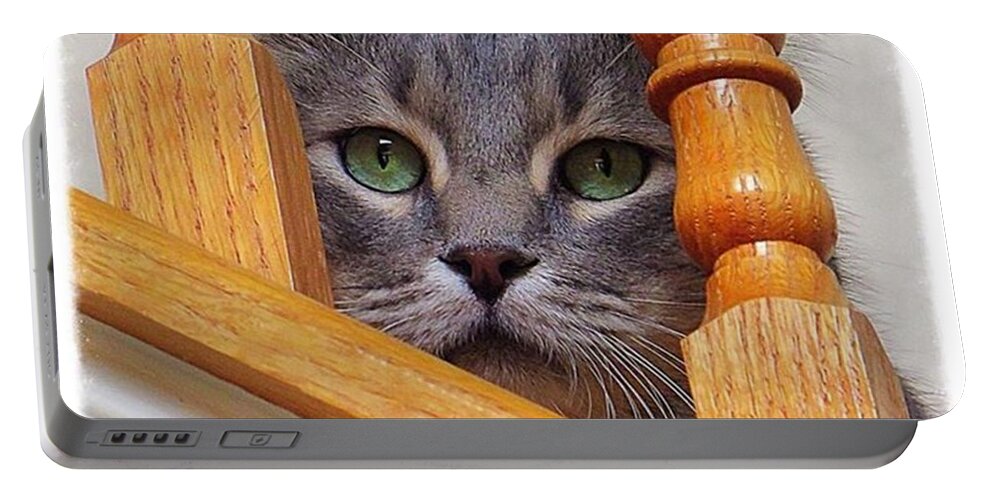 Keepaustinweird Portable Battery Charger featuring the photograph Yes, It Is True, I Am A #crazycatlady by Austin Tuxedo Cat
