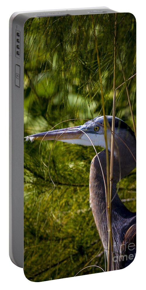 Cove Portable Battery Charger featuring the photograph You Can't See Me by Marvin Spates