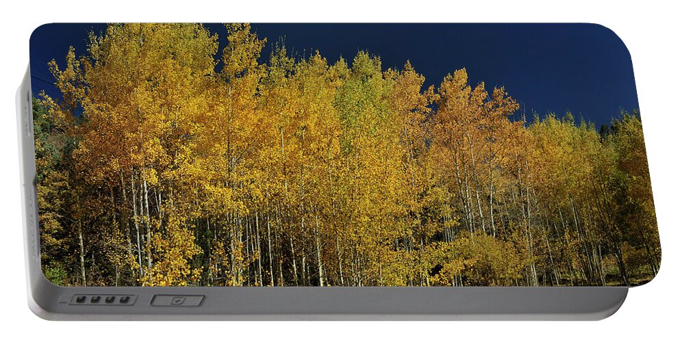 Landscape Portable Battery Charger featuring the photograph Young Aspen Family by Ron Cline