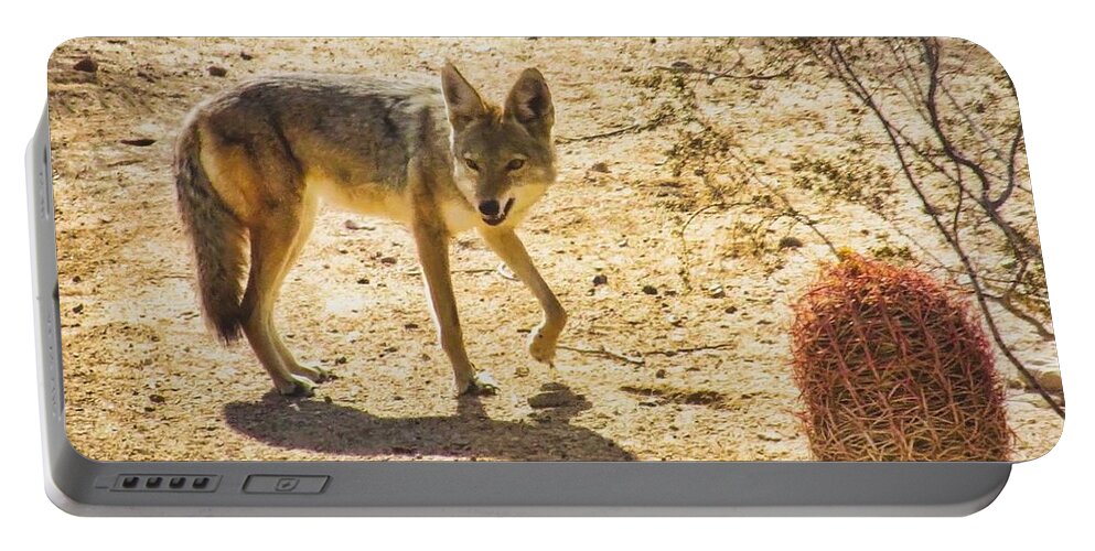 Arizona Portable Battery Charger featuring the photograph Young Coyote and Cactus by Judy Kennedy
