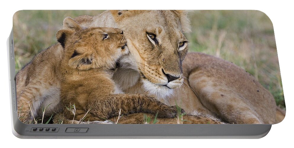 00761787 Portable Battery Charger featuring the photograph Young Lion Cub Nuzzling Mom by Suzi Eszterhas